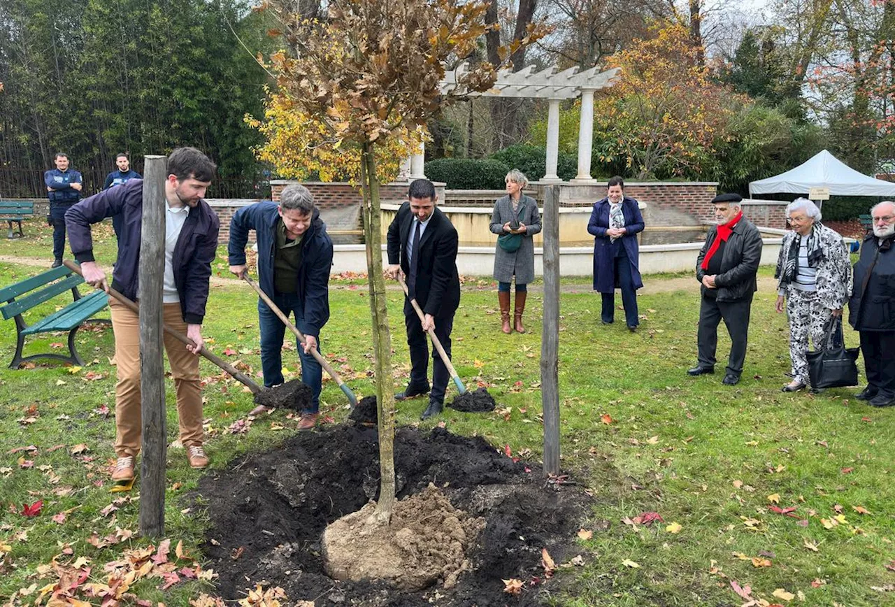 Saint-Paul-lès-Dax : un arbre de la liberté planté square de la Libération