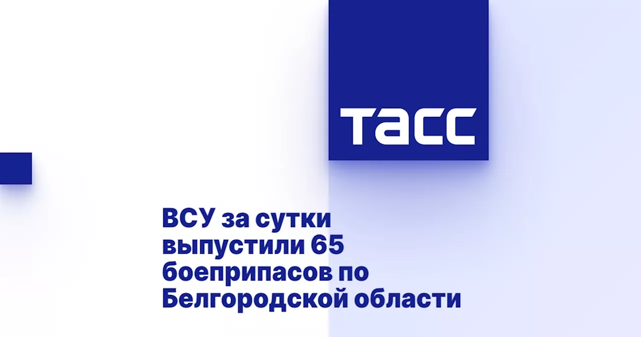 ВСУ за сутки выпустили 65 боеприпасов по Белгородской области