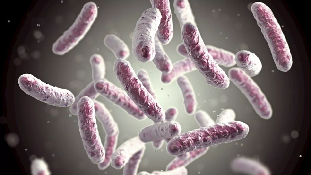 Legionella bacteria found in up to 15 Home Office asylum hotels