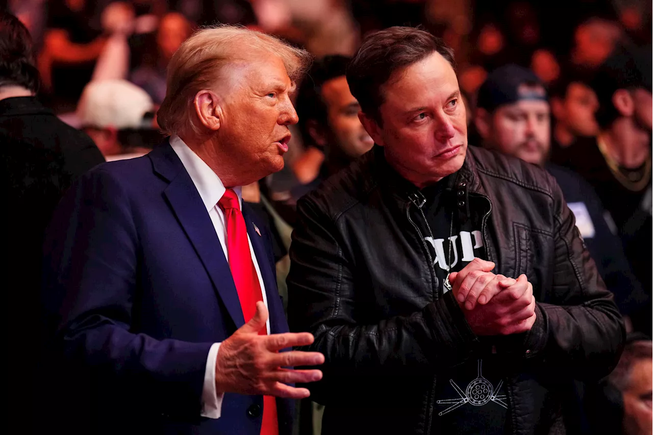 Elon Musk Targets Consumer Protection Agency for Deletion