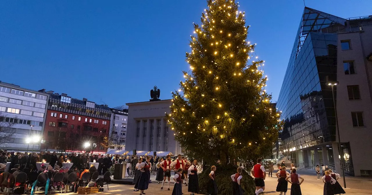 13 Meter hoher Weihnachtsbaum erleuchtet den Landhausplatz in Innsbruck