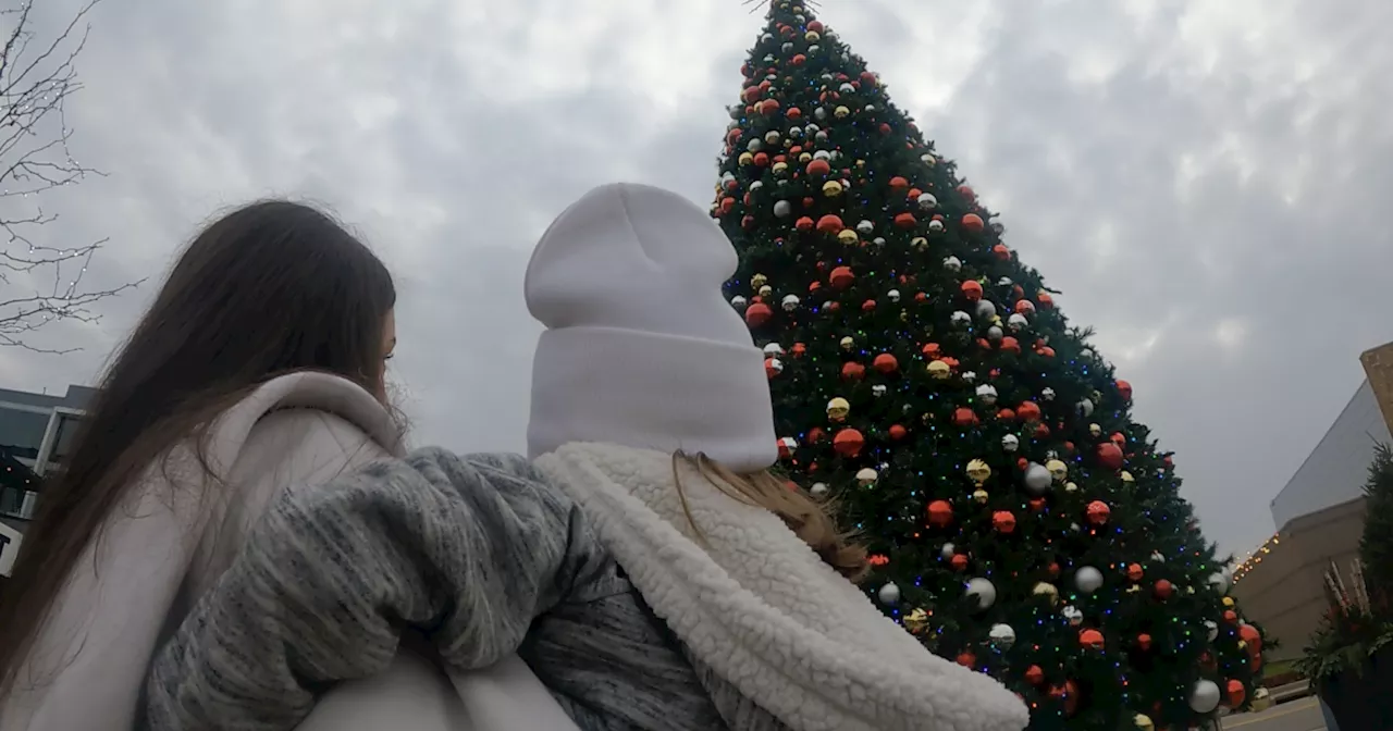 Make a child's wish come true by lighting a tree in Orange