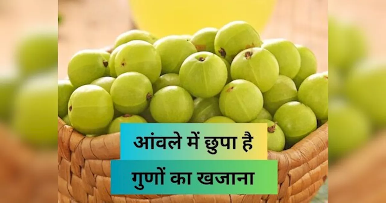 Amla Benefits: गुणों का भंडार है ये एक छोटा सा आंवला, ठंड में डाइट में कर लें शामिल, मिलेंगे कई फायदे