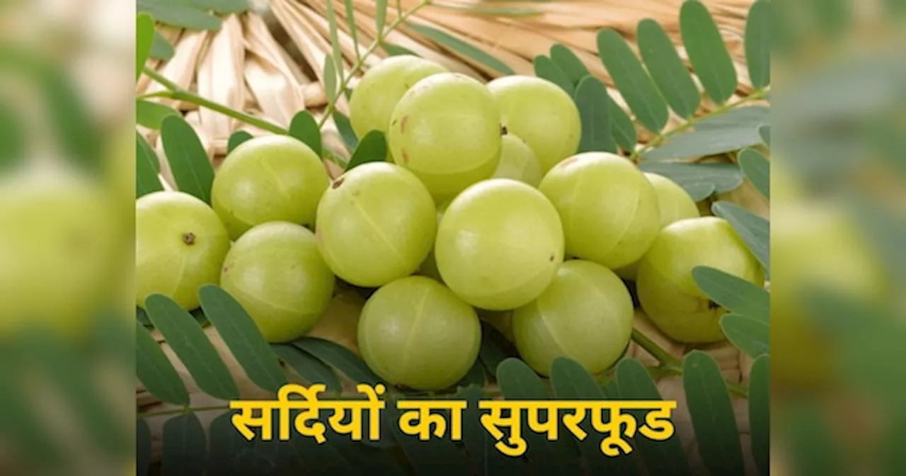 Amla Benefits: सर्दियों में सेहत का खजाना है आंवला, दिल से लेकर त्वचा की हर समस्या का कर देता है हल! जानें 4 बड़े फायदे