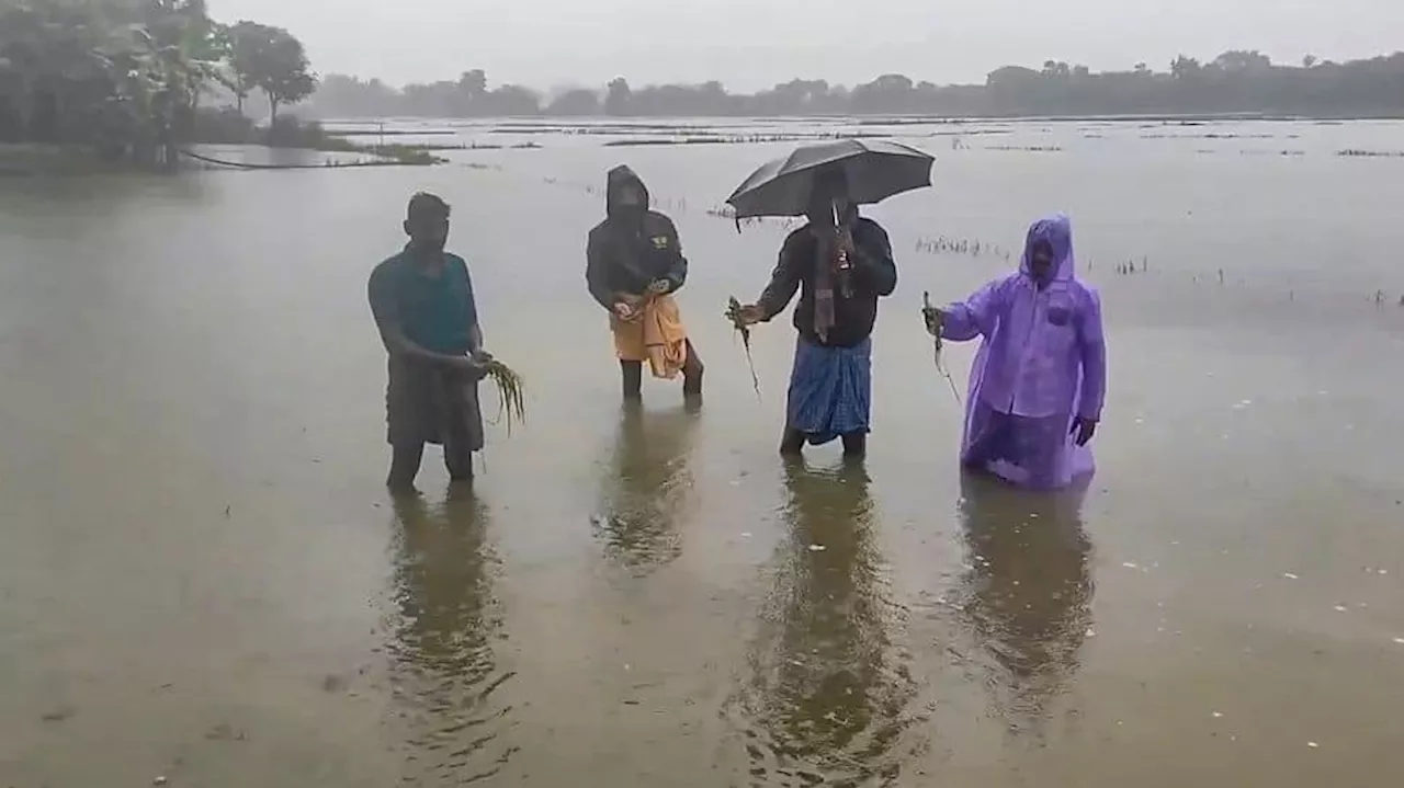 Cyclone Fengal Updates: IMD Predicts Extreme Rain In Tamil Nadu, Schools Closed In Puducherry| Key Highlights