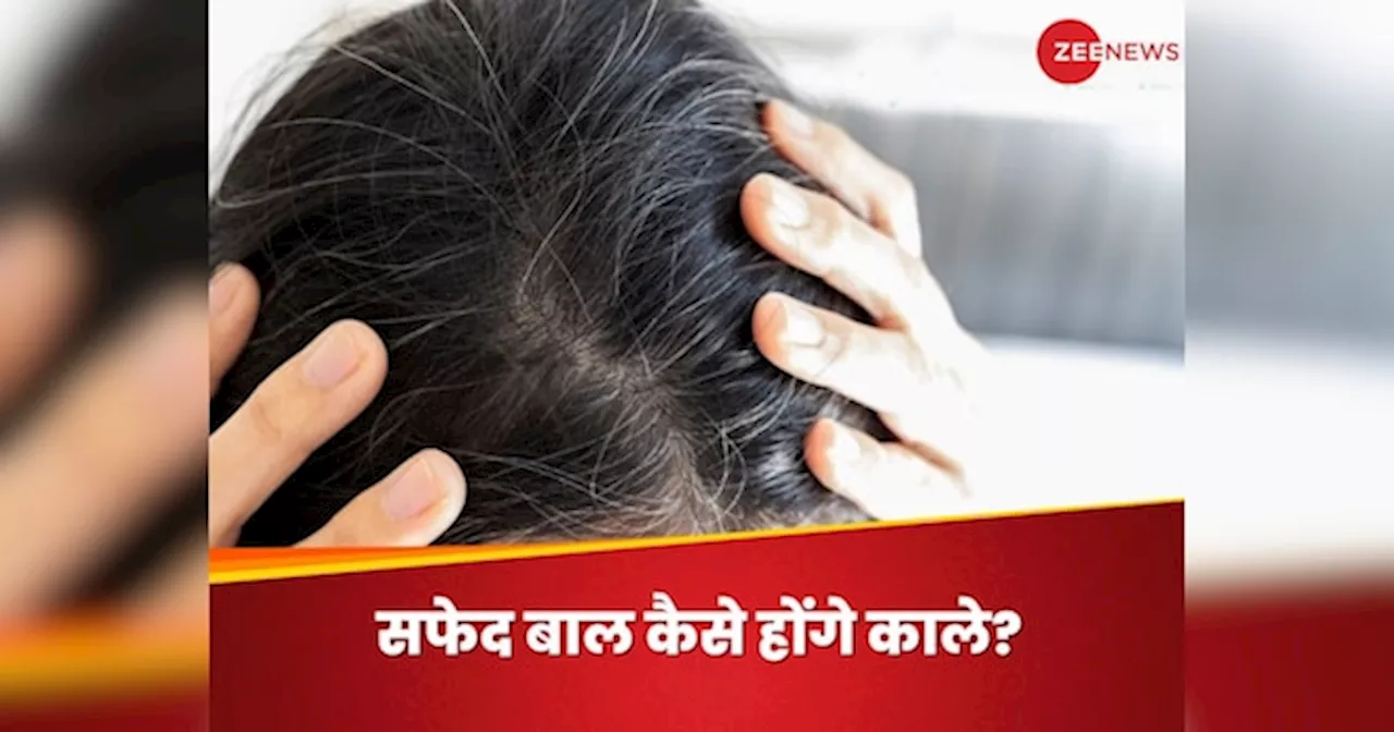 White Hair: कपड़ों की जगह बालों में दिखने लगी सफेदी की चमकार? 4 तरह से वापस पाएं डार्क हेयर