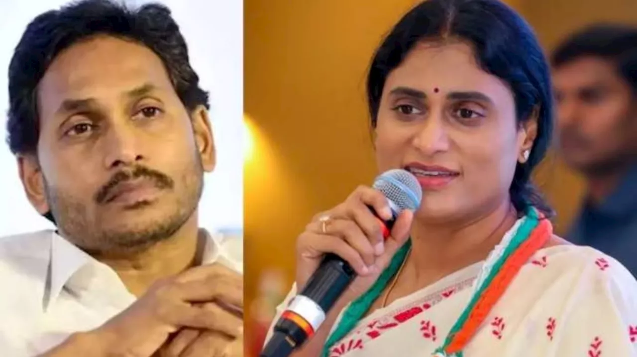 YS Sharmila: జగన్ మోహన్ రెడ్డికి ఆస్కార్ అవార్డు ఇవ్వాలి.. దమ్ముంటే ఈ సవాల్ స్వీకరించు: వైఎస్ షర్మిల