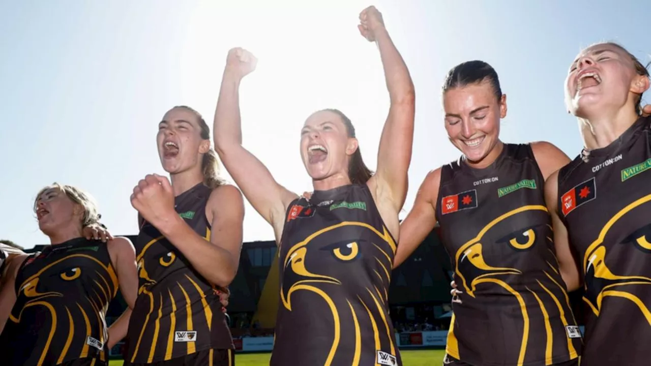 Hawthorn win McClelland Trophy and $1m prize money as second spot on AFLW ladder locked in