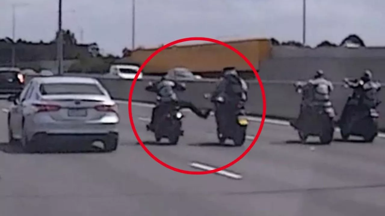 Mongols bikie gang caught on dashcam attacking L-plate rider on Melbourne Fwy