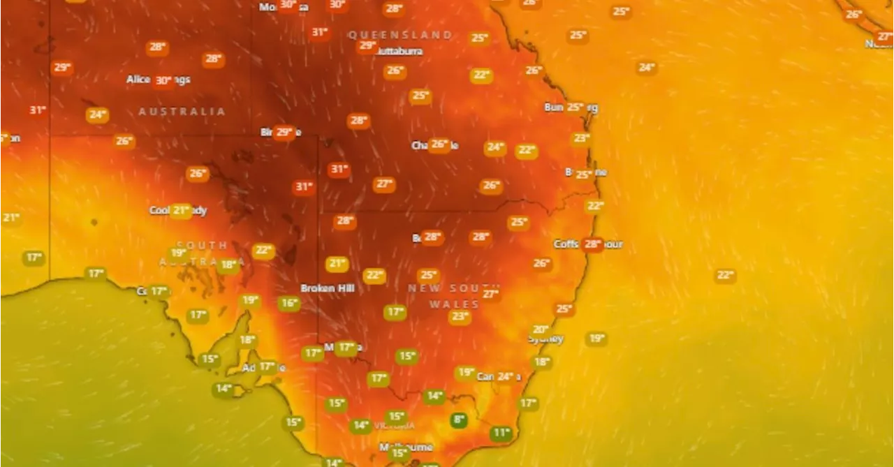 Warning of severe storms, heatwaves and raised fire danger for eastern states