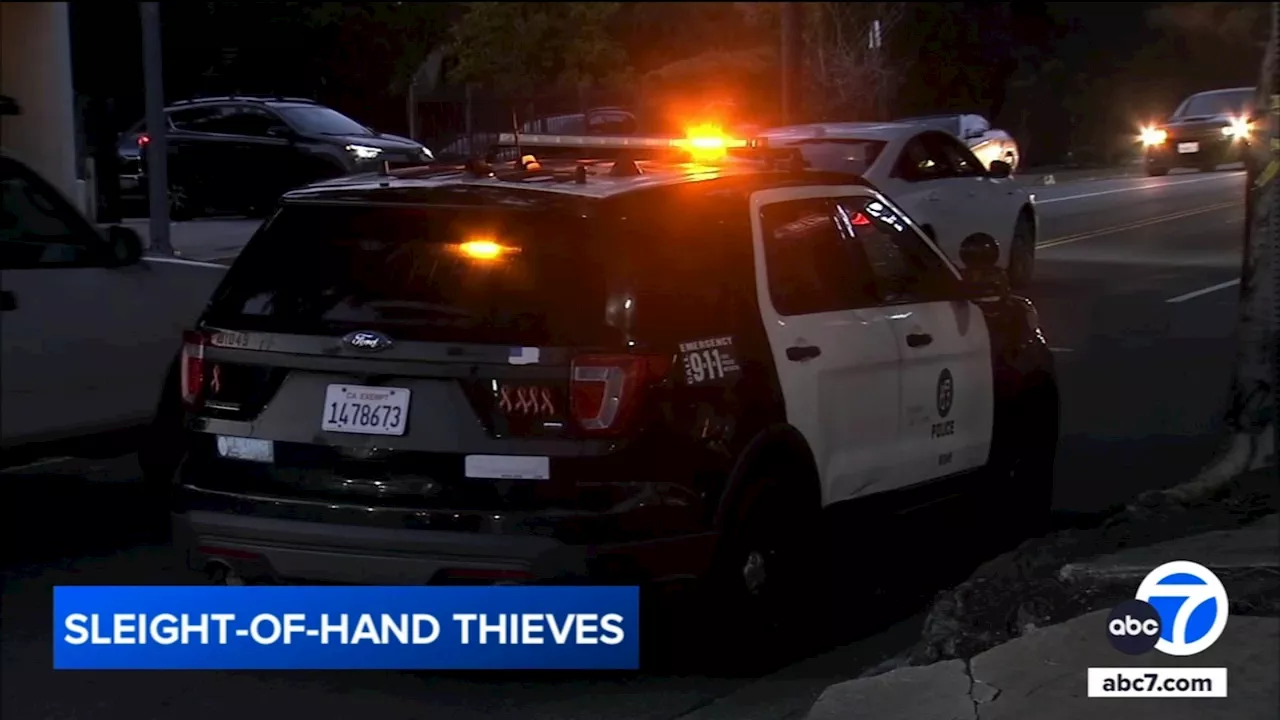 Police search for 2 'theft by trickery' suspects in San Fernando Valley