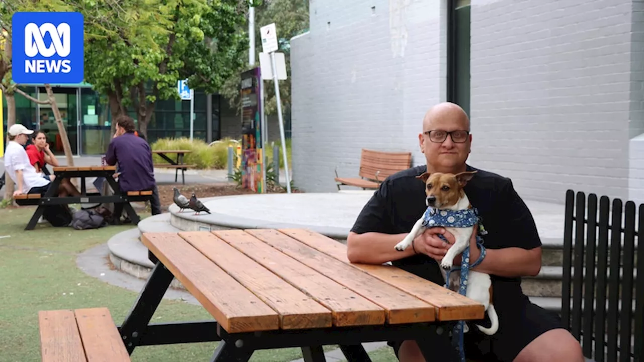 Fed up Melbourne residents call for council crackdown on feral pigeon feeding