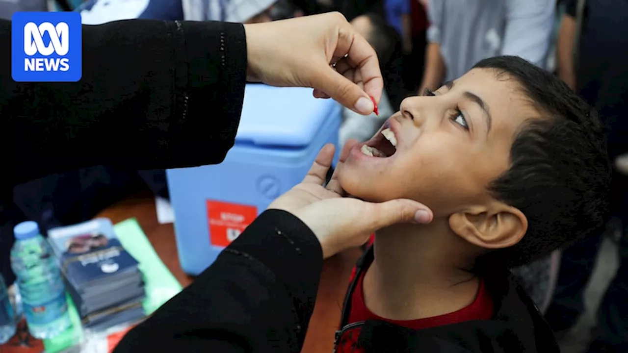 Israel denies responsibility for drone strike on Gaza polio vaccination centre