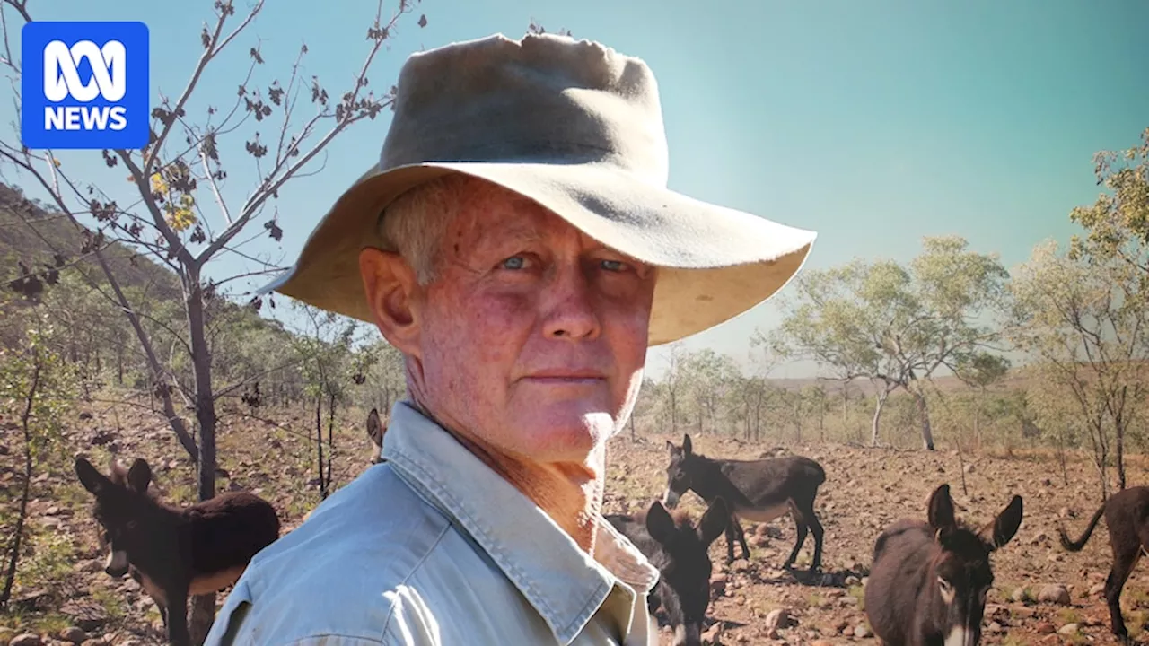 Meet the defiant farmer using feral donkeys to regenerate his land in an 'illegal' experiment