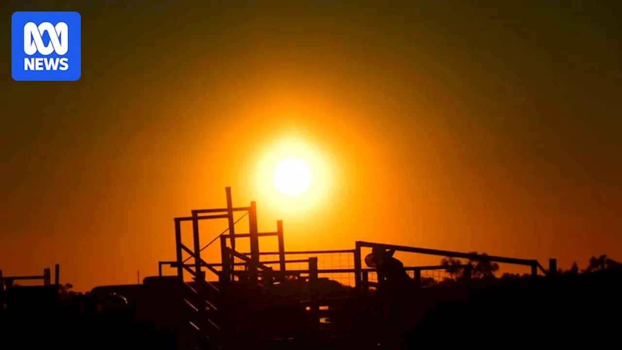 Severe heatwave, fire danger warnings issued as BOM forecasts brutal temperatures for parts of Queensland