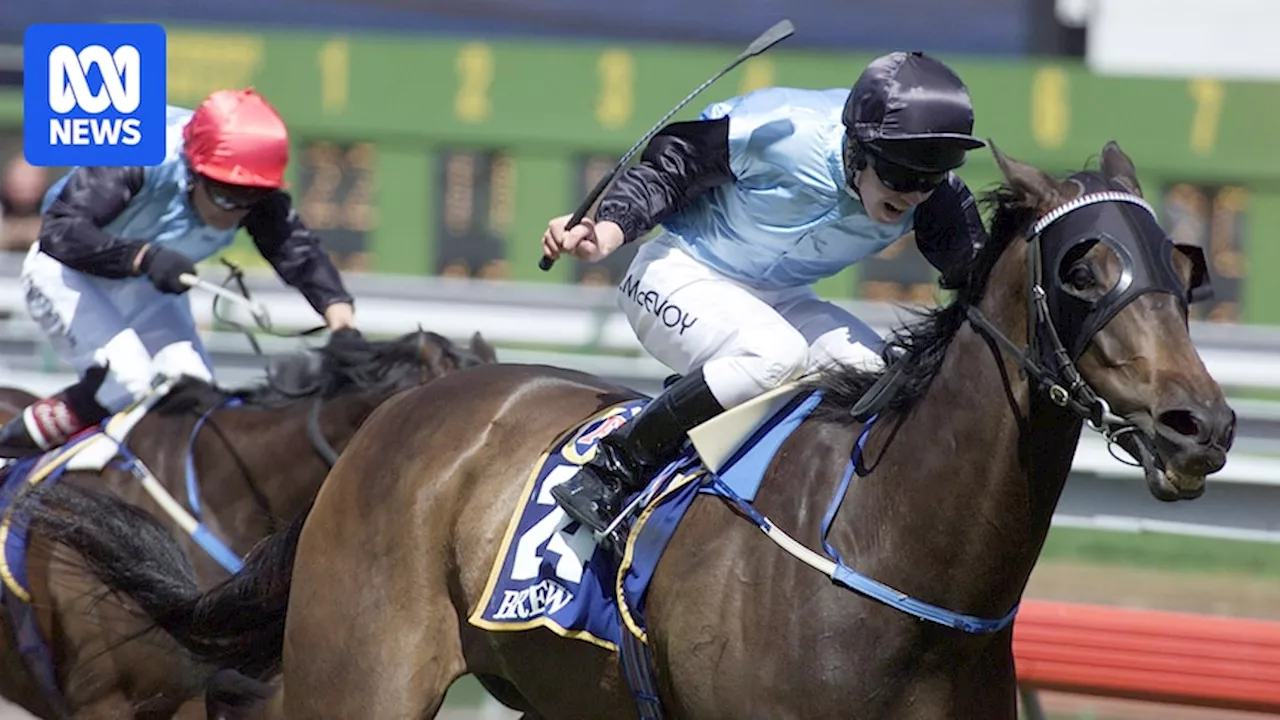 The horse, the prep, the race itself — how to win the Melbourne Cup