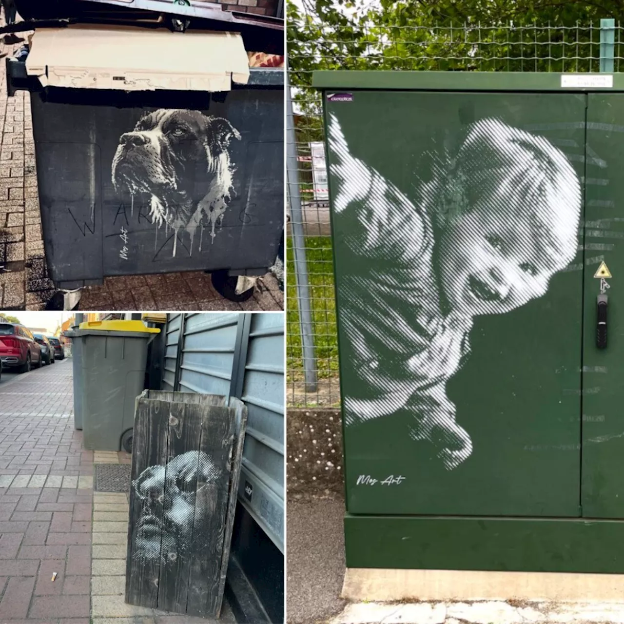 Disséminés partout dans la métropole de Lille, qui se cache derrière ces portraits dans la rue ?