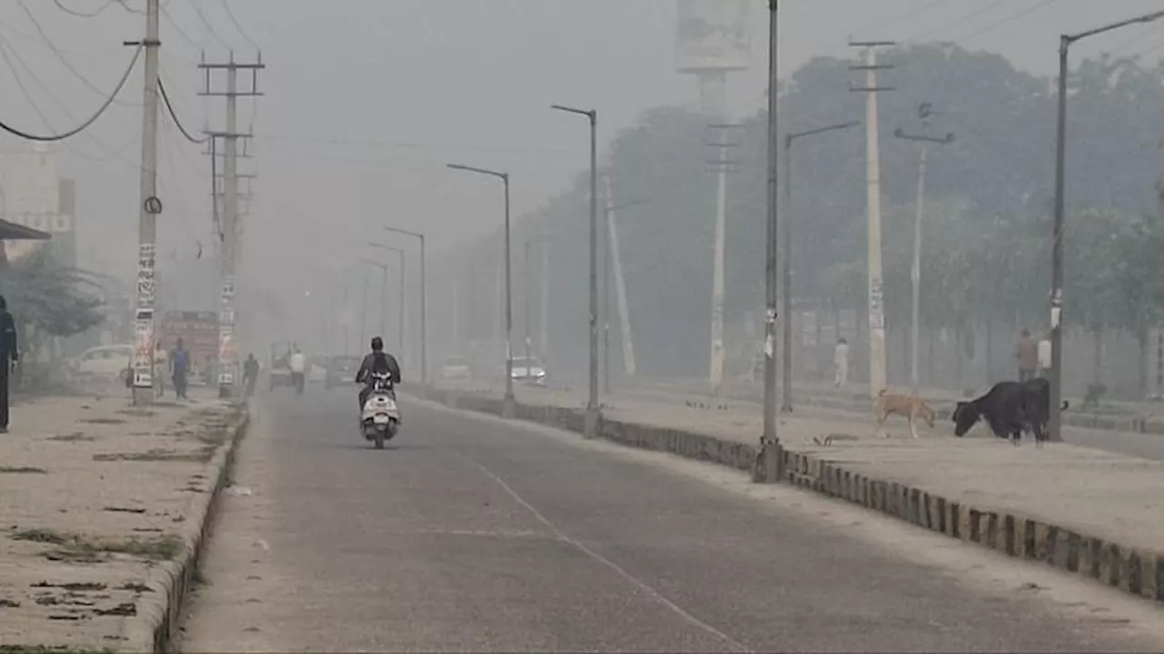 Haryana : ग्रैप लागू होने के बावजूद बढ़ रहा प्रदूषण, बहादुरगढ़ देश में दूसरा सबसे प्रदूषित शहर; चौथे पर सोनीपत