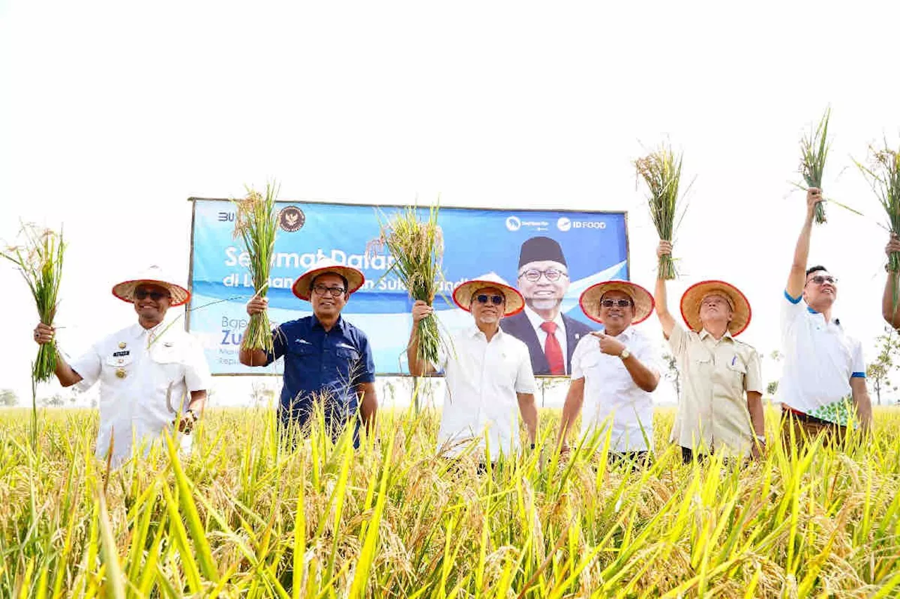 Bapanas dorong penggunaan bibit padi unggul untuk swasembada pangan