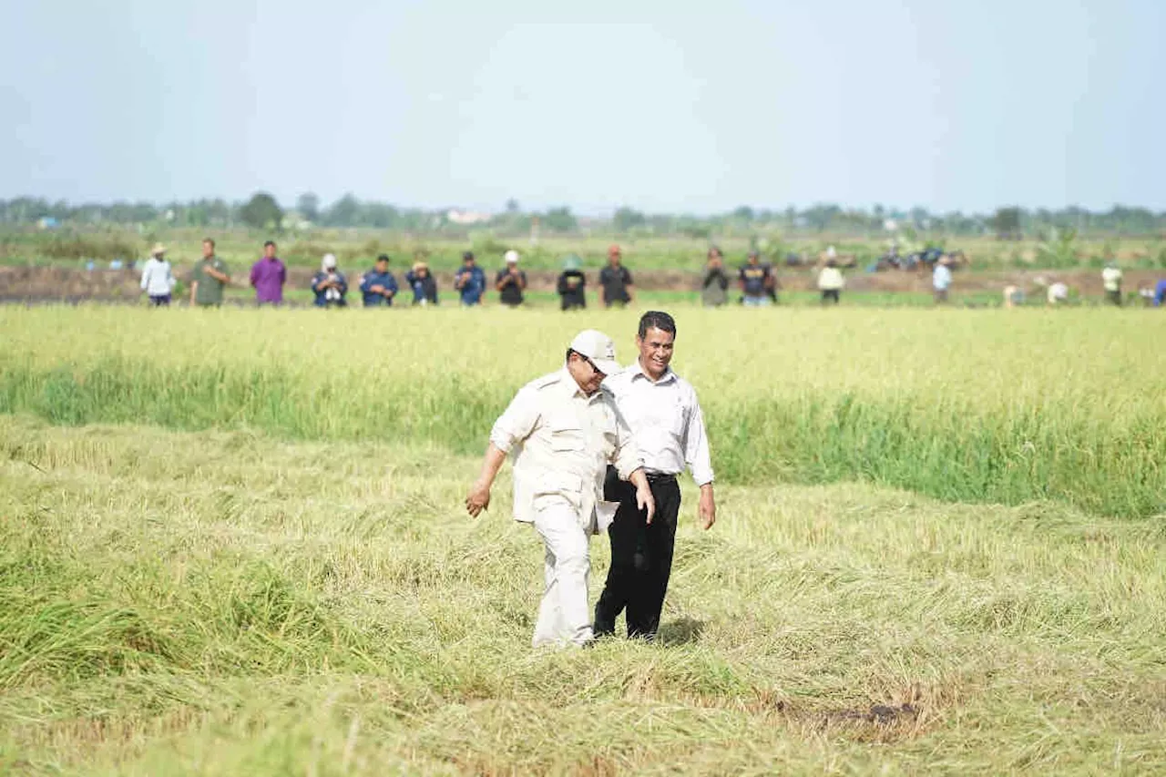 Mentan dampingi Presiden Prabowo tinjau lahan pertanian Merauke