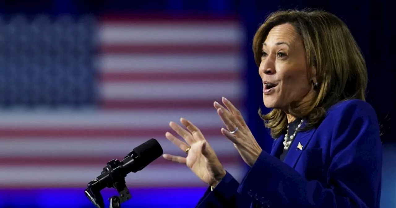 Kamala Harris struggles to secure men's support in US labour unions