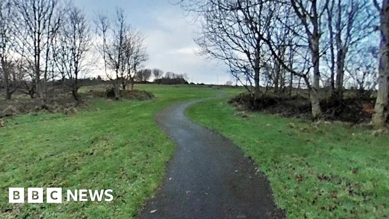 County Londonderry: Woman fends off attacker with dog lead