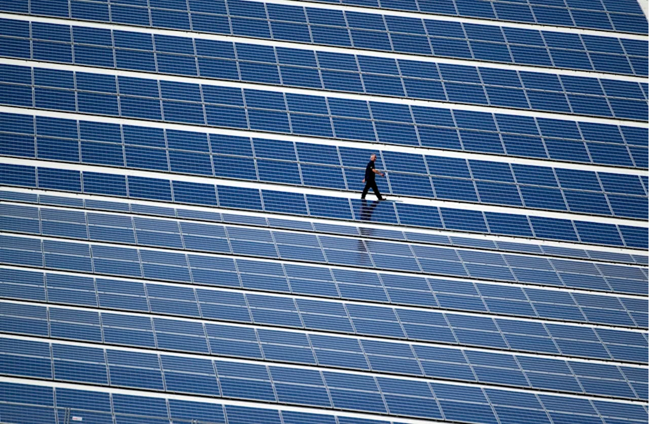 Photovoltaik: Negative Strompreise durch Solarboom 2.0 – alles nur Geldverschwendung