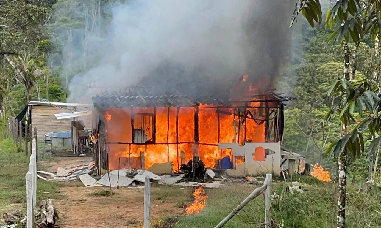 Ejército destruyó laboratorio para procesamiento de clorhidrato de cocaína en Antioquia