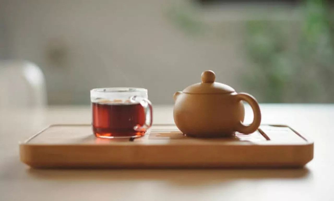 Explore the health benefits of rooibos tea