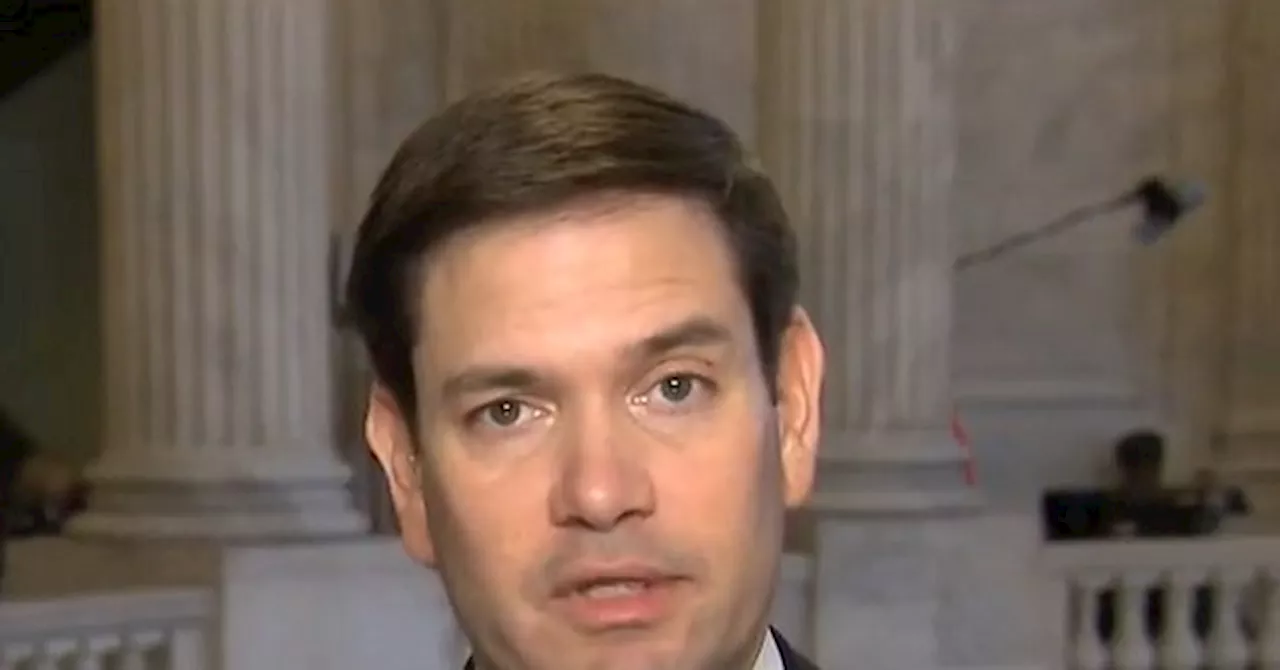 Rubio: ‘Kamala Harris Has a Bigger Problem Among Men than Donald Trump Does Among Women’