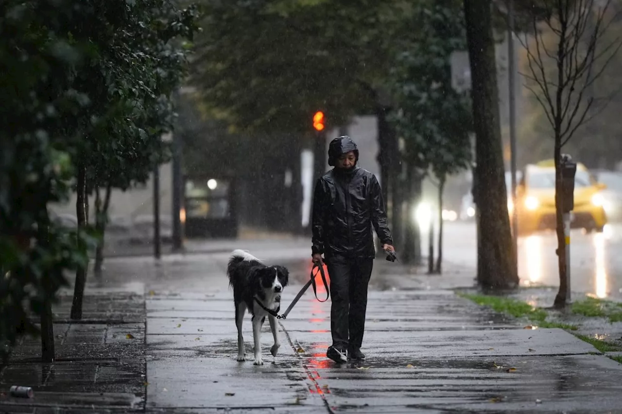 Environment Canada issues weather warnings for B.C. coast, mountain passes