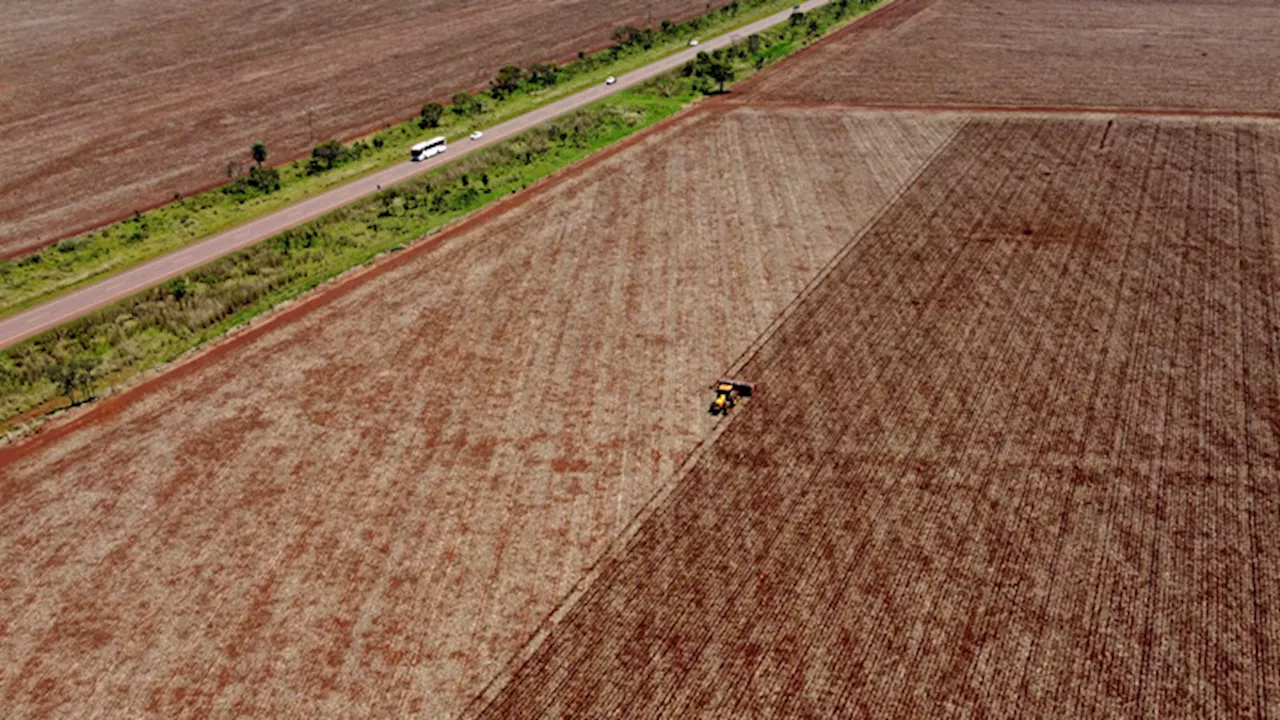 Brazilian state law overturns soy moratorium that helped curb Amazon deforestation