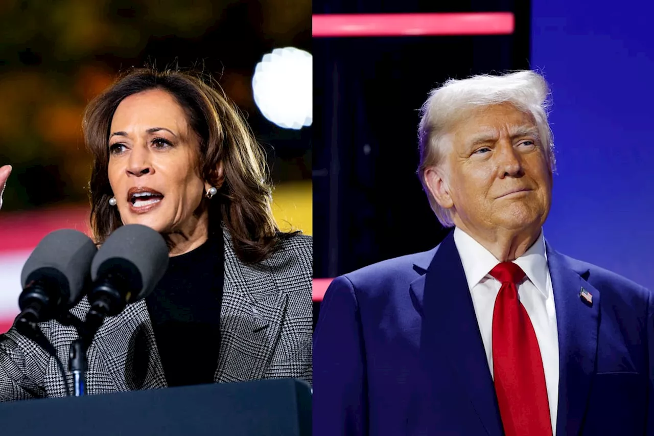 Harris vs Trump: ¿Cuáles son las posturas en temas clave para las elecciones de EE.UU.?