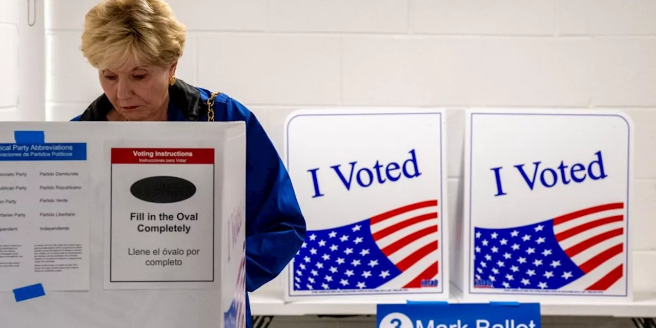 'Dark Omen': Supreme Court Allows Virginia Voter Purge Just Days Before Election