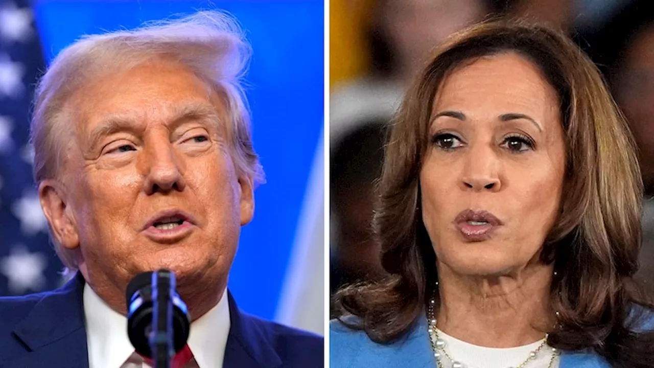 Harris and Trump focus on Sunbelt states ahead of Election Day