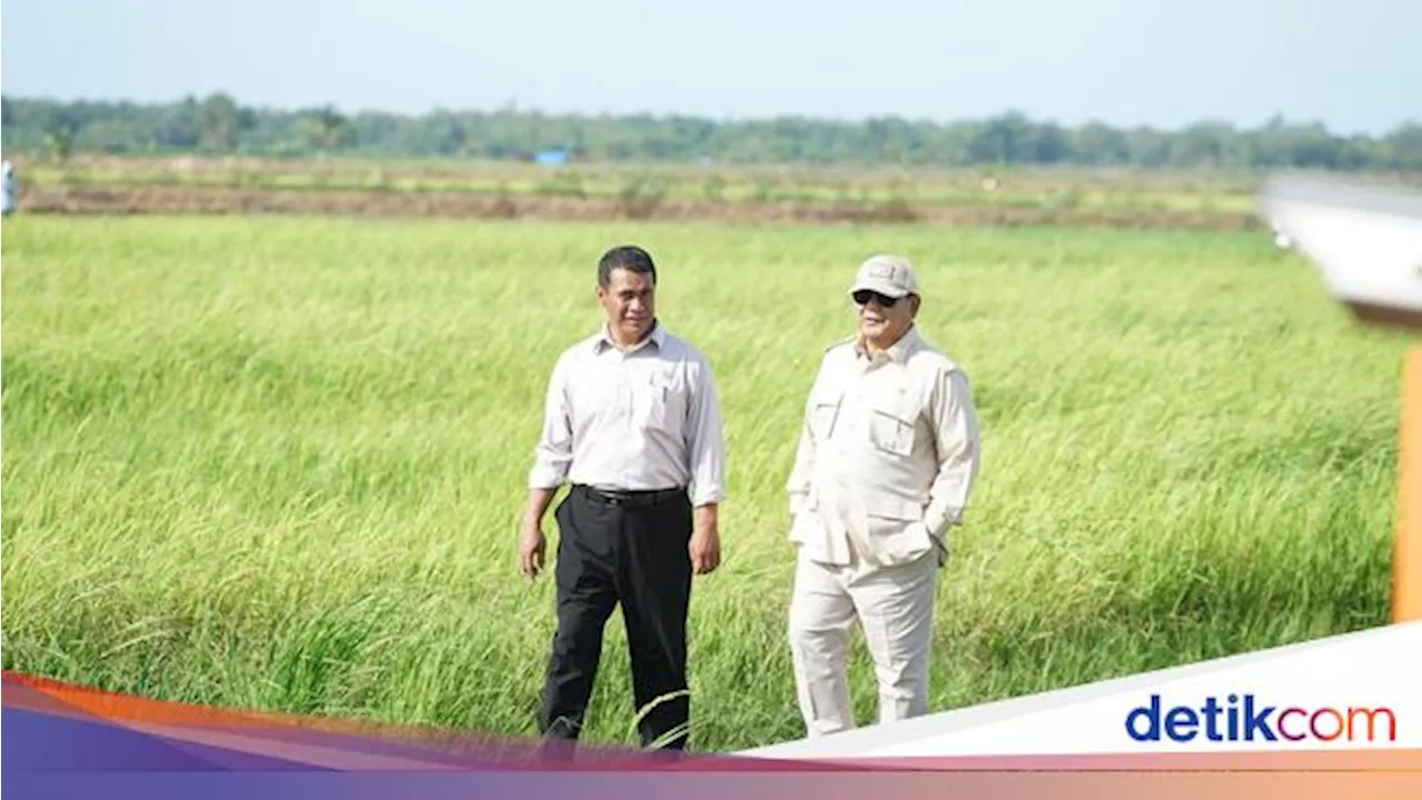 Prabowo Turun ke Sawah di Merauke, Tinjau Program Swasembada Pangan