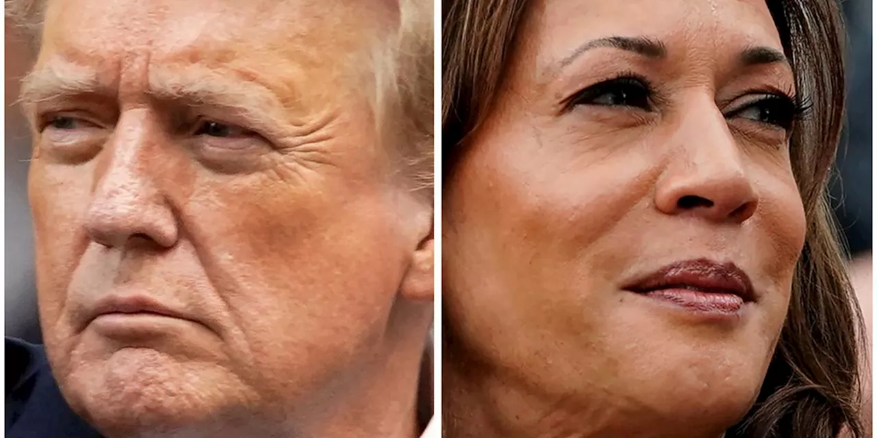 Harris y Trump, muy igualados en los estados indecisos: sondeo de NYT/Siena