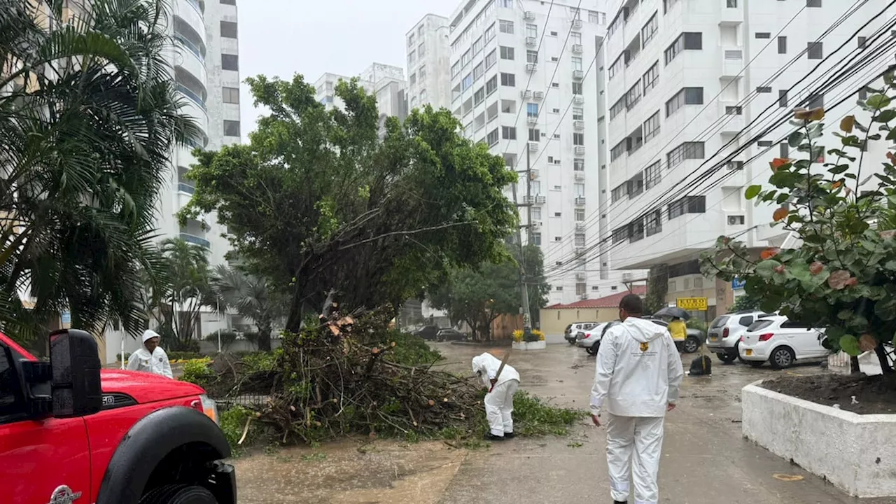 Cartagena está en alerta por la perturbación tropical AL97 en el Caribe