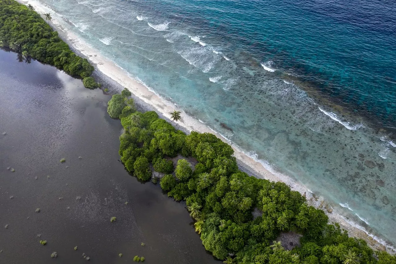 New Ecosystems Atlas Launched At COP16 To Power Global Nature Goals