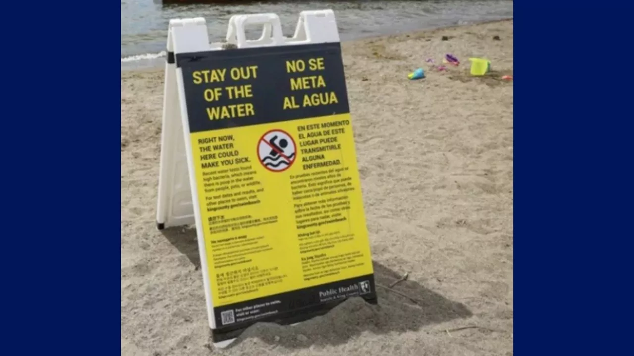 Meydenbauer Bay sewer spill: People, pets stay out of water near Medina, WA