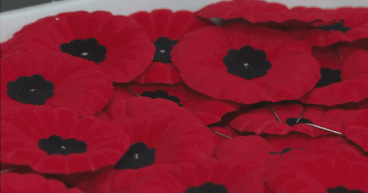 Posters lining downtown Edmonton street honour fallen soldiers ahead of Remembrance Day