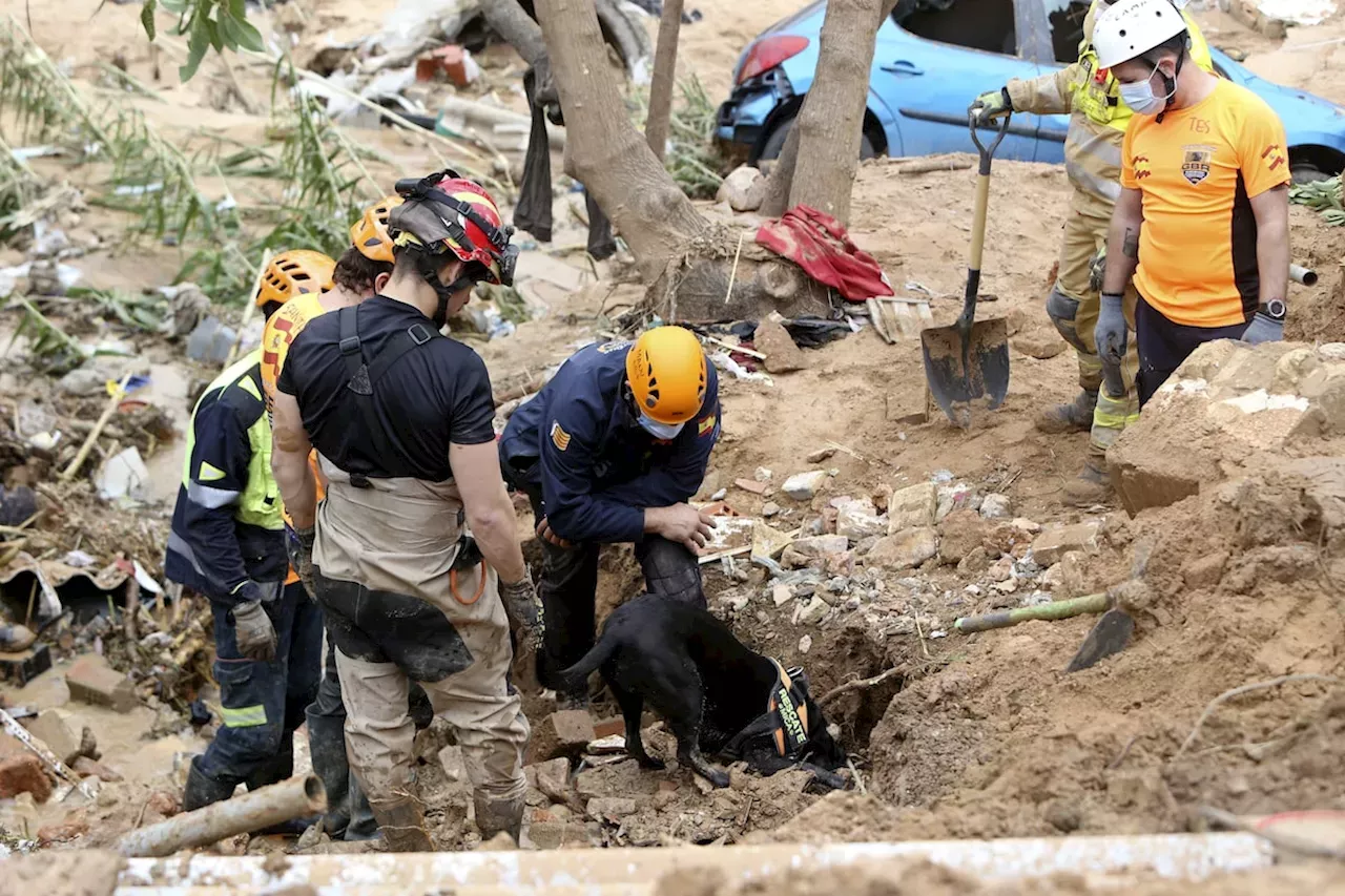 A Crowd Of Spain’s Flood Survivors Toss Mud And Shout Insults At King ...