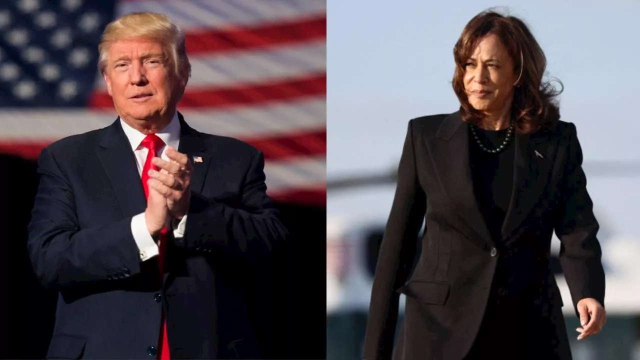 Trump vs Kamala Harris, ¿quién es el favorito en las encuestas?