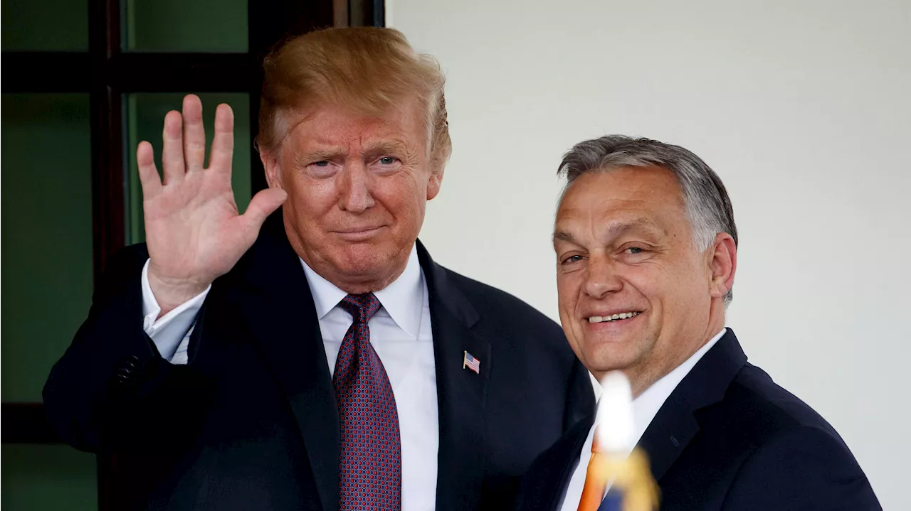 Ukraine-Hilfen 'überdenken' - 'Trump wird Frieden bringen' – Orban stichelt gegen EU