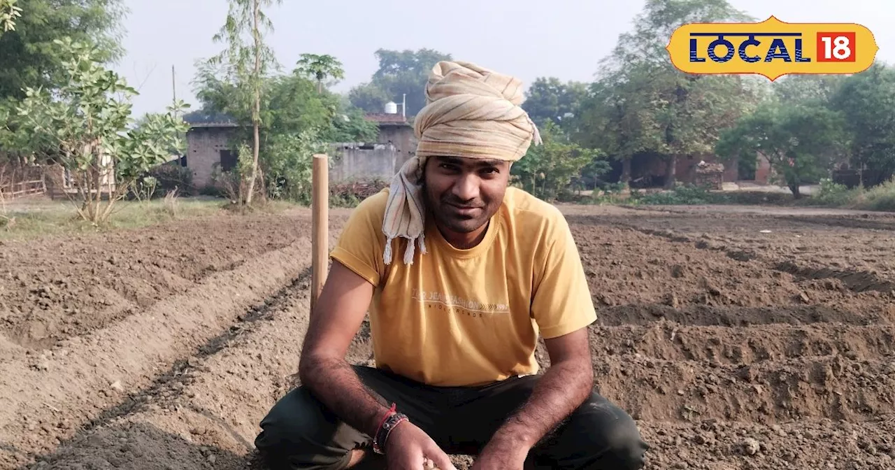 किसान इस तरीके से करें आलू की खेती, बंपर होगी पैदावार, खूब कमाएंगे मुनाफा, जानें एक्सपर्ट की सलाह