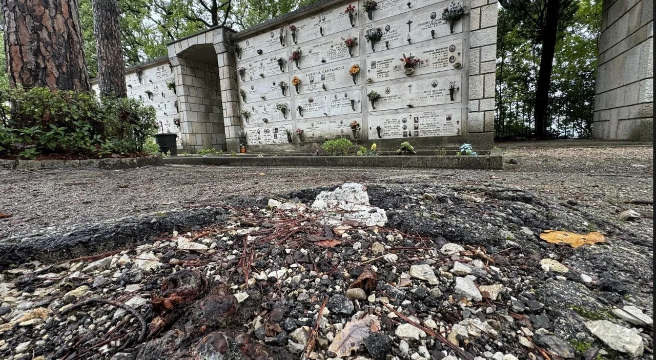 Perugia, la protesta: «Erbacce e strade a pezzi, il cimitero di Monteluce merita rispetto»