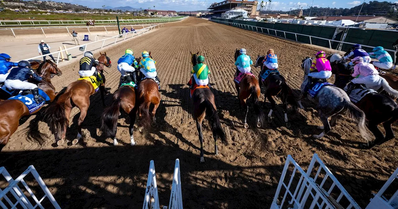 City of Troy's Breeders’ Cup Classic disappointment saves bookies a fortune