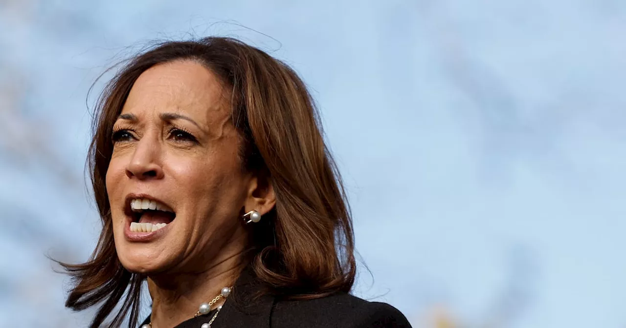 Kamala Harris and Donald Trump’s flawed strategies explain why neither holds a clear lead