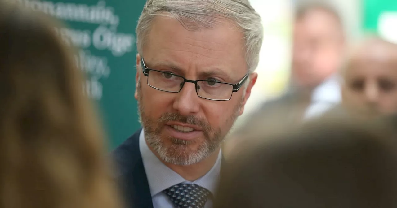 Man (30s) arrested following alleged assault on Roderic O’Gorman while on election canvass