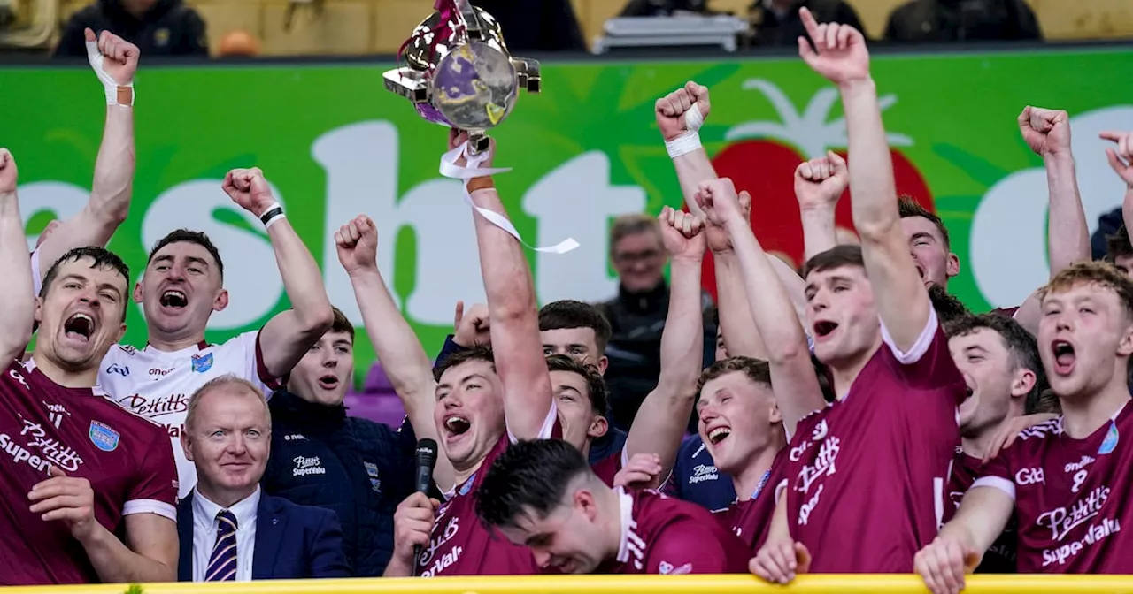 Wexford SHC final: Rory O’Connor gets Martin’s moving after sluggish start to land fifth title